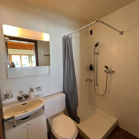 公寓 Le Nid Alpin 莱莫斯