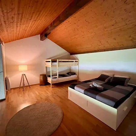 Le Nid Alpin Apartment Les Mosses